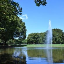yoyogi park