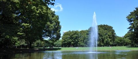 yoyogi park