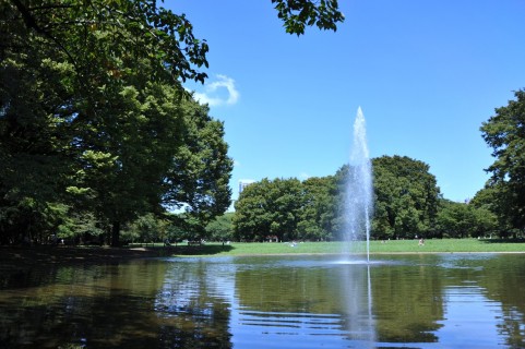 yoyogi park